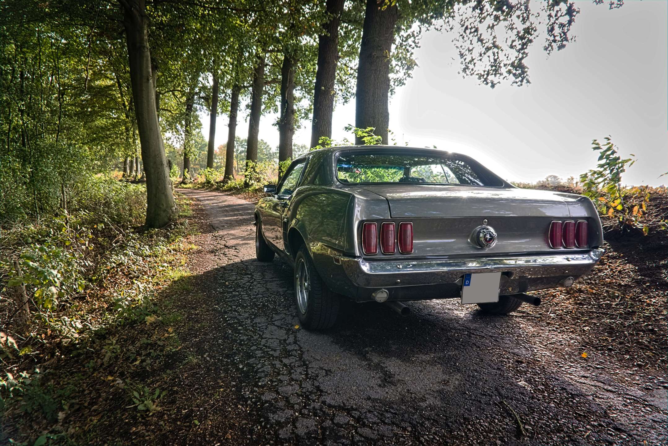Mustang Gt 1969 Coupe Premium Cars Autovermietung